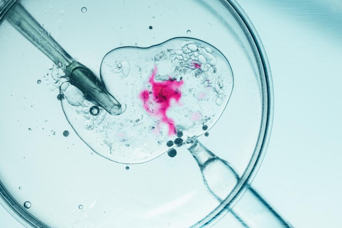 Calitatea somnului, un factor cheie în succesul Fertilizării In Vitro: Ce spun specialiștii