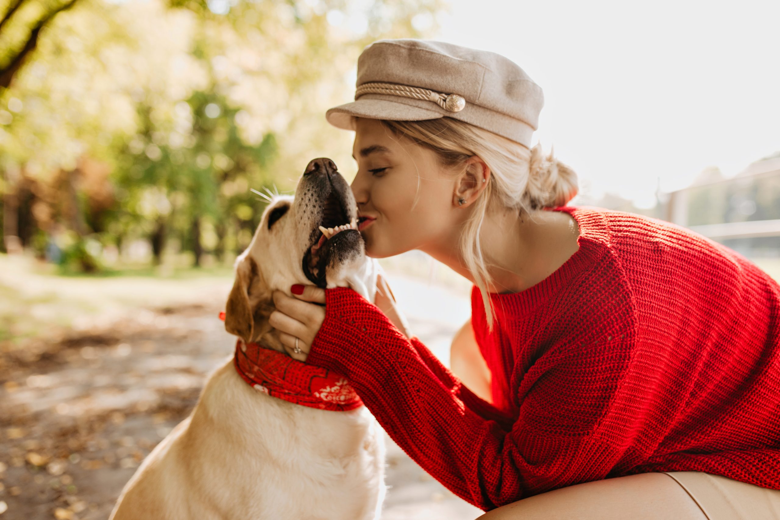 5 produse care îți pot face viața mai ușoară dacă ai un animal de companie