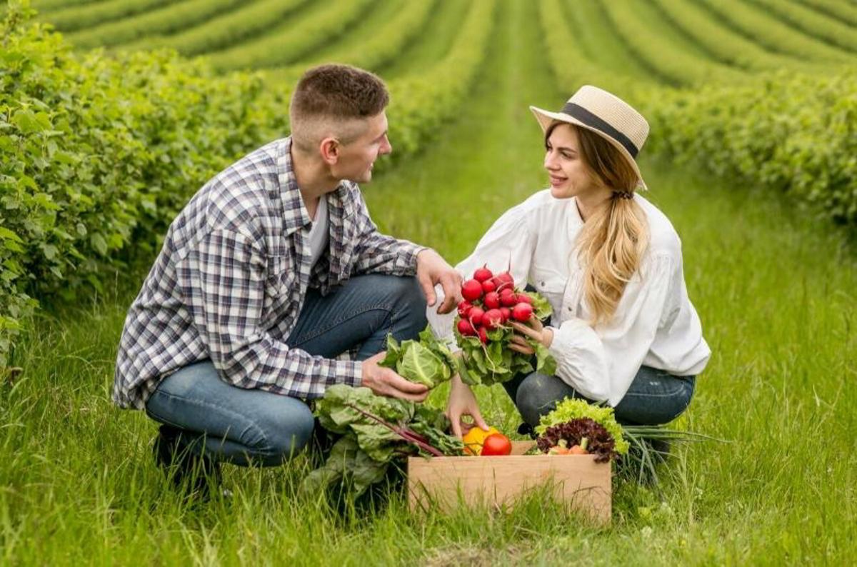 Optimizează munca agricolă: accesorii indispensabile pentru utilaje mici